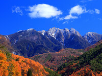 「森といきる伊那市」　伊那の食を愉しむ会