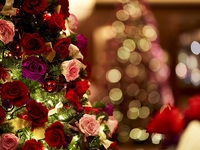 【Christmas Dinner】Signature afternoon tea with a glass Champagne/Main Meat Dish/Macaron 