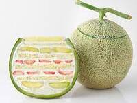 December-exclusive melon cake included! Japan Welcome Course from ¥43,200 + ¥24,000 per melon (tax included)