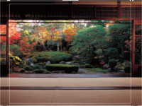 Limited to 3 servings per day — 桜鶴苑’s Special Seasonal Afternoon Tea