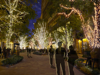 LUNCH  COURSE Xmas menu ¥10,000　12月23日～25日限定