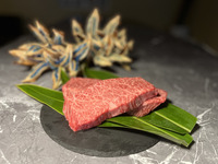 B：Premium Gourmet Course (No Sushi Experience)