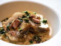 Lunch buffet with a choice of main course [December]