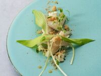 【選べる1ドリンク付き】神奈川県産やまゆりポークや三浦半島の旬食材、三崎マグロを楽しむ全6品