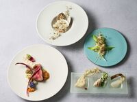[Official website & weekday limited special offer] SCAPES SUITE Lunch 8 dishes