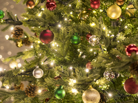 【WEEKDAY】XMAS LUNCH