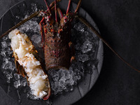 12月8日Premium～プレミアム～シェフのこだわりのつまった至高のコース 厳選の豪華食材を使った全8品