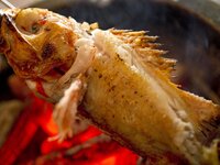 12/1～【会員様限定】特選コース