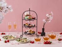 [Seasonal Afternoon Tea] Sweets and savory dishes made with seasonal fruits + free cafe