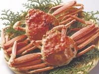 活松葉蟹