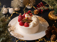 ガトーシャンティ【4号】