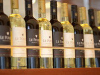 [Japanese Black Beef and Rotisserie Chicken Course + All-You-Can-Drink]