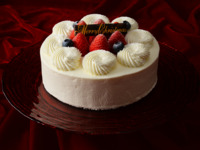 ◆クレジットカード事前決済5％OFF◆ホワイトクリスマス【300台限定】　