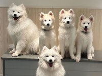 Weekdays: Private plan (50 minutes) ¥25,000