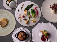 Dinner Course【¥8,500 (excl. tax) 】