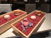 【忘年会・新年会プラン Groupe C】5名様以上限定　神戸 美水牛をメインにしたお料理6皿＋乾杯シャンパンと飲み放題プラン