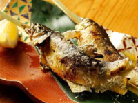 <All rooms are private> [Ginrei] 4 types of grilled dishes including trout and Matsusaka beef, plus a platter of two types of winter yellowtail and bluefin tuna - 8 dishes in total