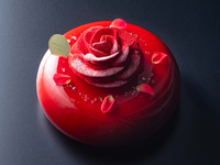 諾埃爾·羅斯瑪麗·安托瓦內特