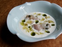 Spring course 7 dishes