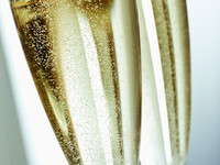 ビール＆ハイボール飲み放題120分制（おとな）