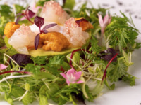 2025年クリスマス特別メニュー