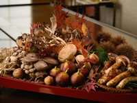 Premium Wine 3Glass Set & Seasonal Course 【Ukai Selected Beef Tenderloin Steak】