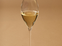 【乾杯酒付き】クリスマスディナー（平日） ￥25,000