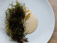 Cooked squid with cima di rapa and heshiko sauce