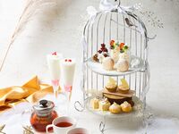 【午餐+下午茶套餐】5种开胃菜+5种主菜可选+时令下午茶套餐 | 豪华午餐（午餐+下午茶）