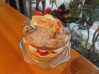 Montagne chiristmas  12ｃｍ