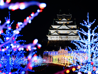 [12/13, 20, 21 | Osaka Castle Illumination 2025 admission ticket included] Luxury dinner including Nodoguro and Kuroge Wagyu beef fillet + toast with sparkling wine