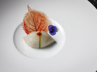 クリスマス ディナーセット 乾杯シャンパン付