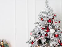 【2,500円】2025 クリスマスディナー（お子様プレート）