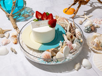 12/20.21.24.25ランチ【単品ご注文用】オーシャンビーチケーキ