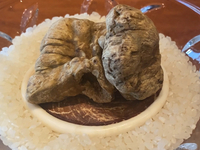 希少な体験をぜひ　一日だけの白トリュフコース