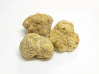 白トリュフコース【11/28日〜12/23日まで】