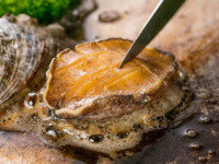 あわびコース【税込¥11,800】