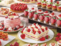苺づくしのスイーツブッフェ　子供（小学生のお子様）