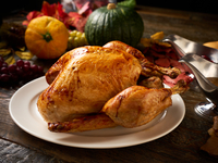 【単品】ホールターキー