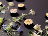 Event！実際に巻いてみる海苔巻き教室