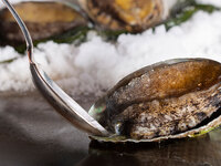 20周年ギフト付き　鉄板鮑ランチコース￥23100