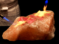 11.12月　ランチブッフェ　【7～12歳　15：00迄滞在可能】