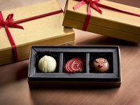 【Lunch】Noel Voyage Chocolate gift set with box