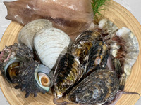 浜焼き＆牡蠣セット　オールアルコール飲み放題セット