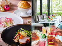 ★幹事様特典付き★【10名様～特別個室貸切プラン】2時間飲み放題付き　旬野菜やパイ包みスープ、メインを選べるコース全5品 - SHIKITEI -