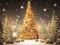 【Christmas】12/23 -Dinner Course-