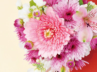 【お祝いプラン】17,000円　乾杯スパークリング、卓上花　1月4日から