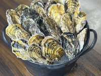 牡蠣のバケツ盛り [大] & 10種のおでん鍋セット