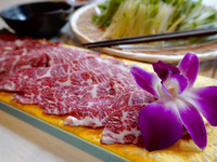 사쿠라 탄력 냄비 코스