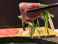 特别樱花张张火锅套餐